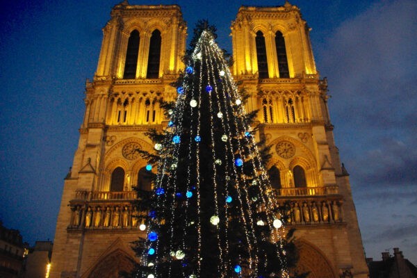 Notre Dame Cathedral Paris Christmas Tree