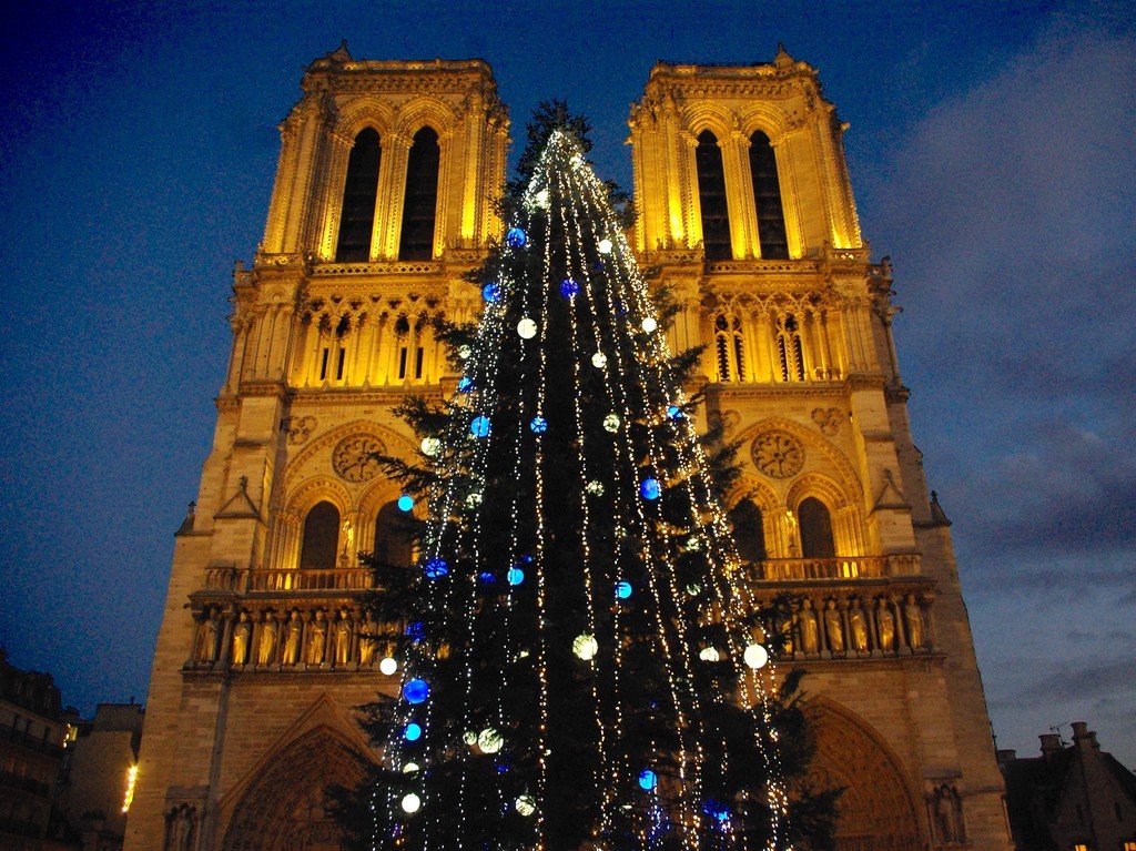 Notre Dame Cathedral Paris Christmas Tree