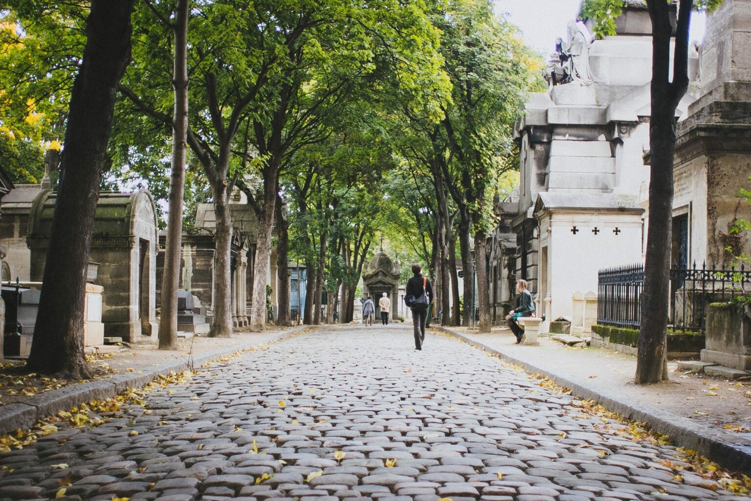16 Rue Du Repos 75020 Paris