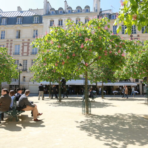 Dauphine Entrance Historic Heart of Paris Walk - Tour Paris with Paris Muse