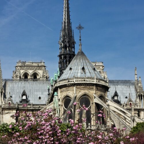 Notre Dame for Families: Stories in Stone - Tour Paris with Paris Muse