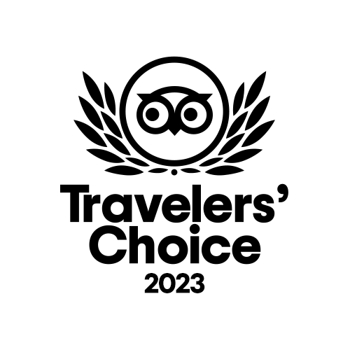 Traveler's Choice 2020 Logo